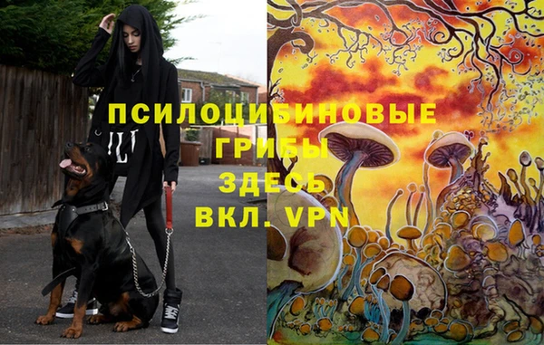 кокаин премиум Нефтекумск