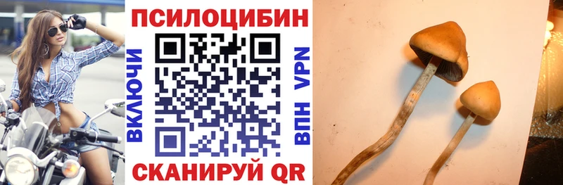 Галлюциногенные грибы прущие грибы Карабулак