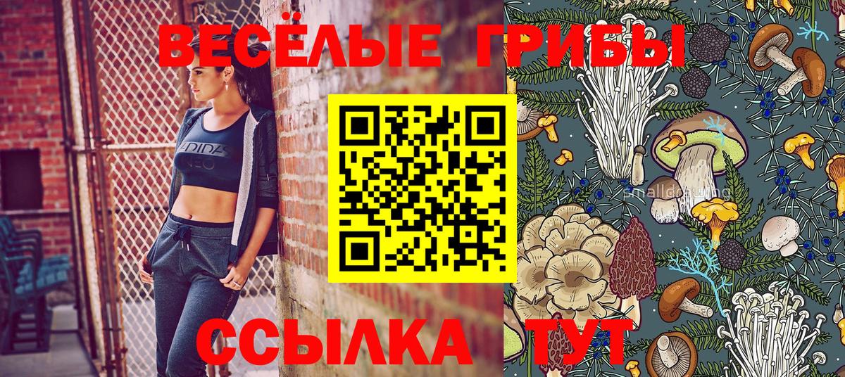 Кодеин  Вход с VPN  Меф МЯУ МЯУ   Марихуана  НБОМе  Карабулак  Метадон  ГАШИШ  Гашиш 