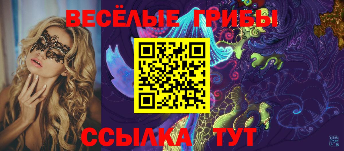 Псилоцибиновые грибы Psilocybine cubensis Карабулак