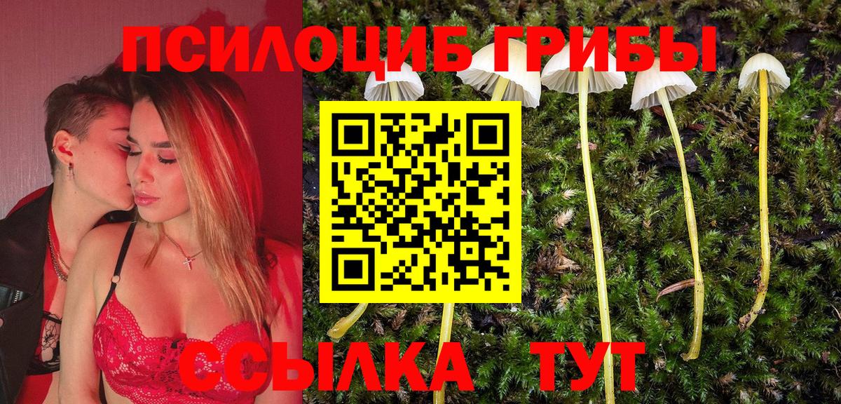 Псилоцибиновые грибы ЛСД  где купить наркоту  Карабулак 