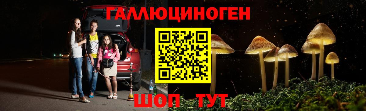 купить  сайты  Карабулак  Псилоцибиновые грибы ЛСД  Псилоцибиновые грибы ЛСД 